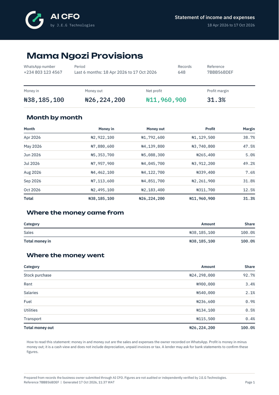 First page of an AI CFO PDF statement for a provision shop, with monthly figures and spending by category